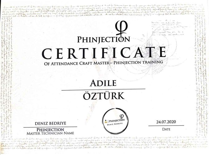 PhInjection-Zertifikat2